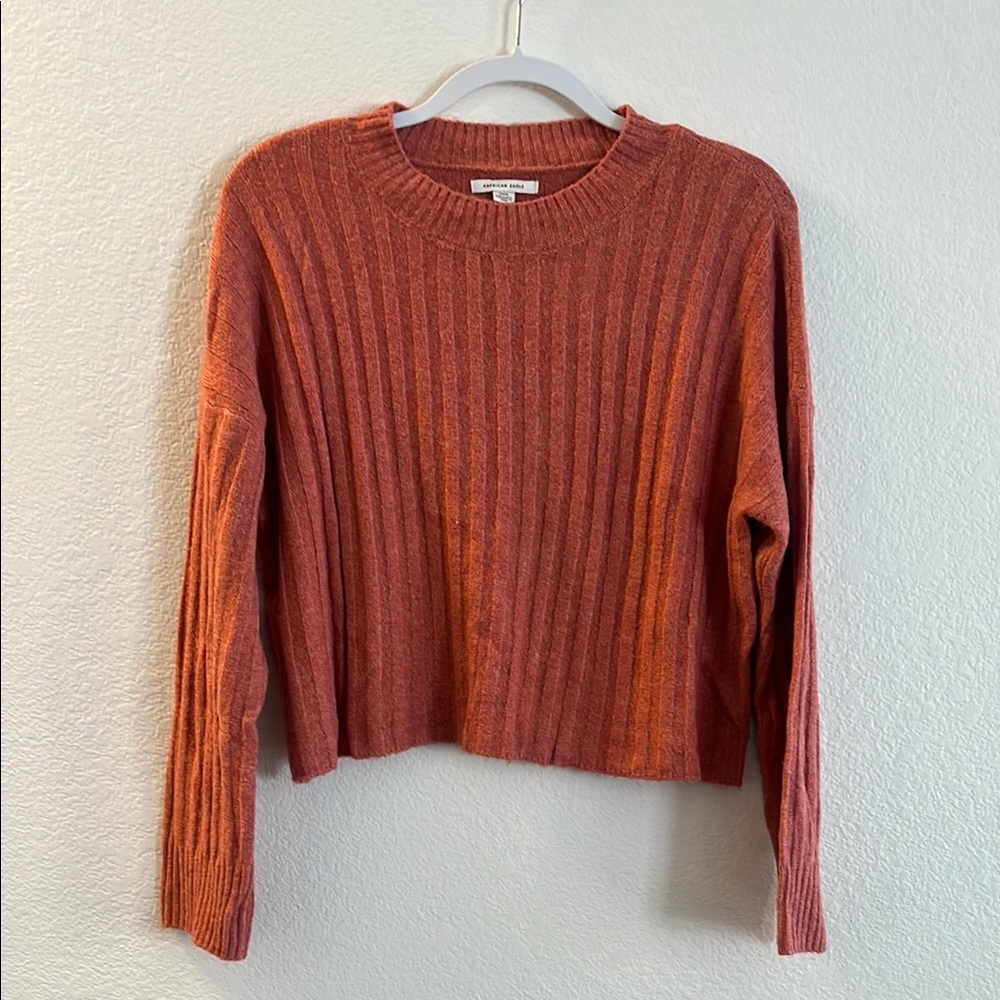 Brown Ribbed Crew Neck Sweater with Cropped Length